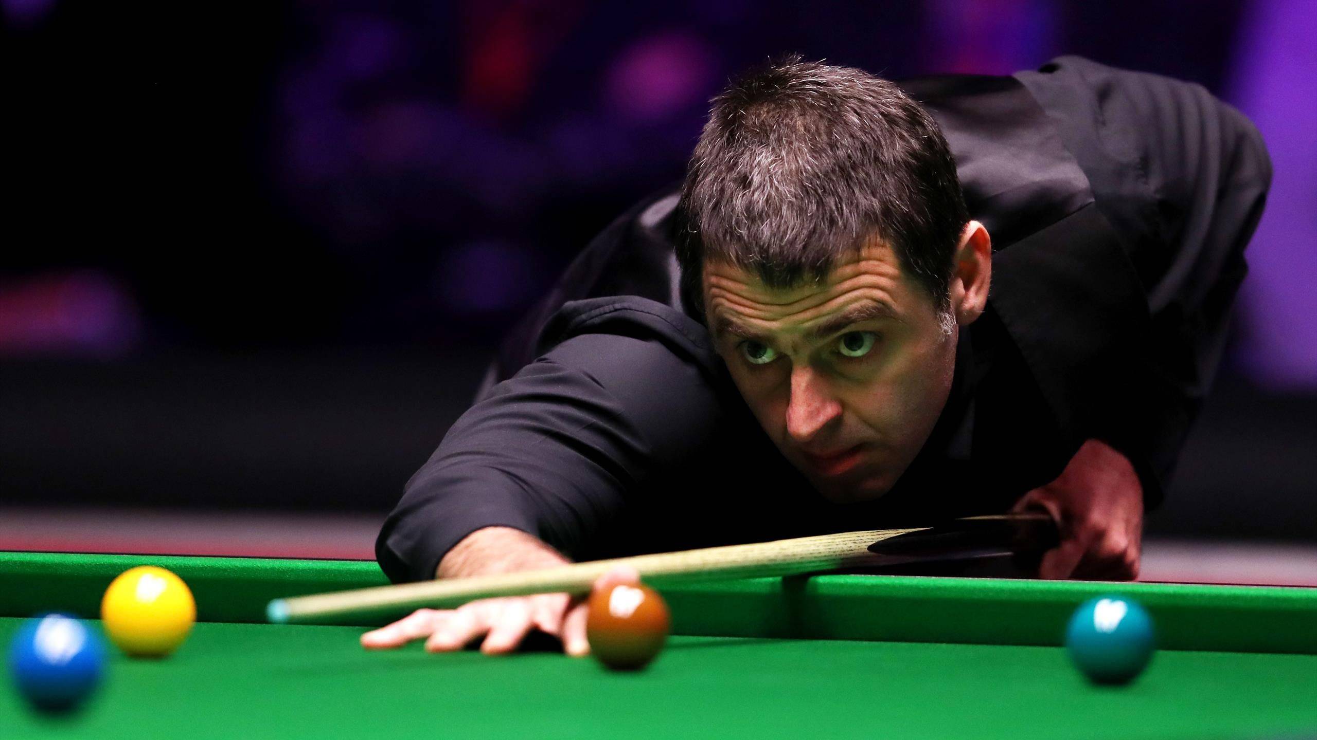 增强名人的 增强名人的